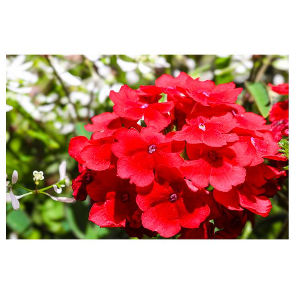 PHOTO84, CLUB, 84 , LUBERON